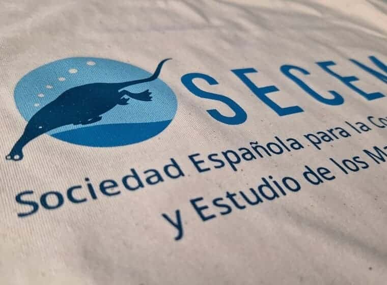 merchandising para eventos