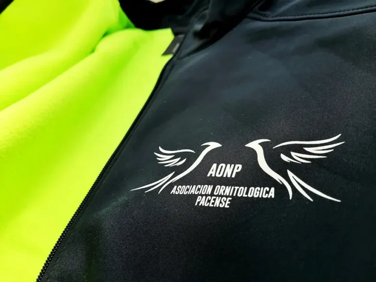 18 bolsos publicitarios